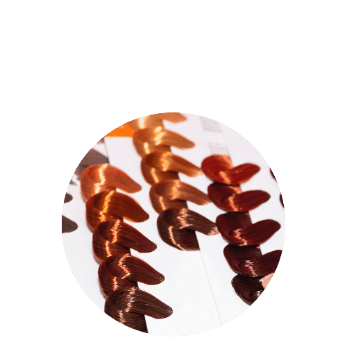 Hair color swatches in various shades of brown, red, and auburn arranged in a circular pattern.